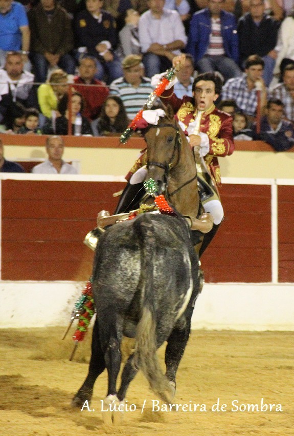 IMG_6958.JPG IMG_6958.JPG