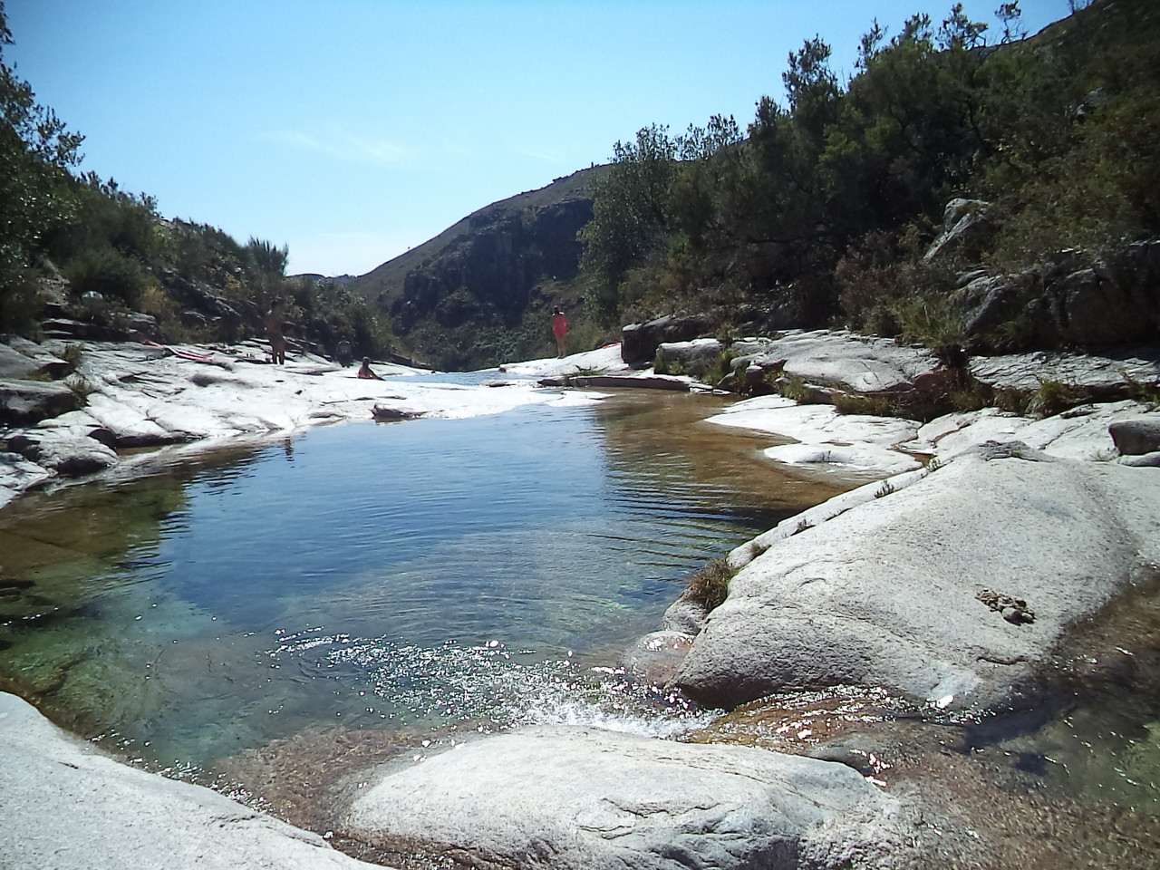 DSC08701.JPG DSC08701.JPG