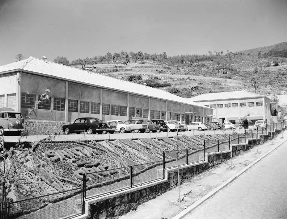 26239393_10204112569010955_607129370476614614_n.jp 26239393_10204112569010955_607129370476614614_n.jp