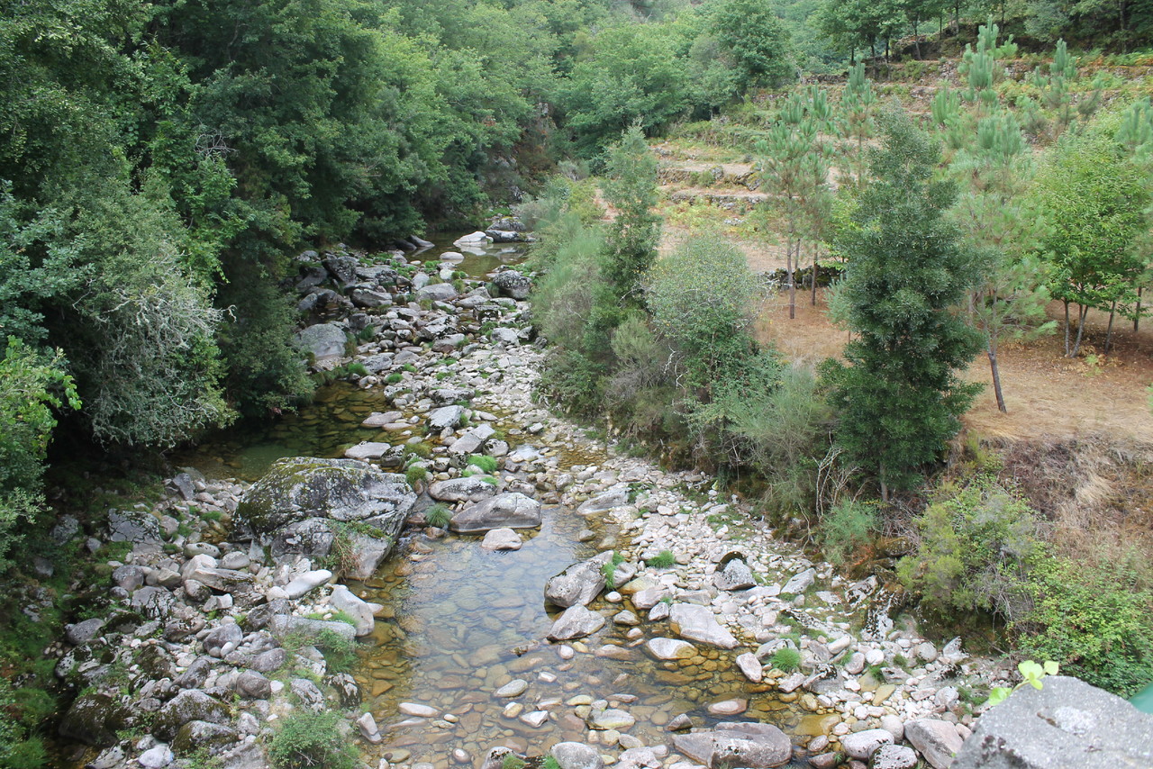 IMG_1332.JPG IMG_1332.JPG