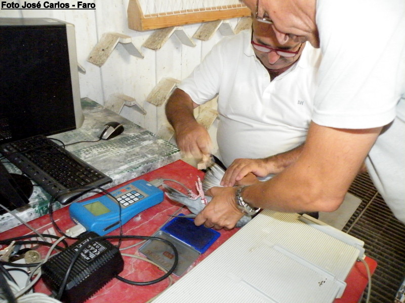 Derby Faro 2016 013.JPG