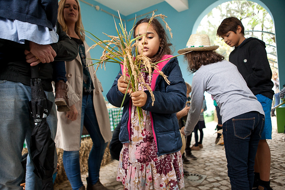 IMG_1390-2.jpg IMG_1390-2.jpg