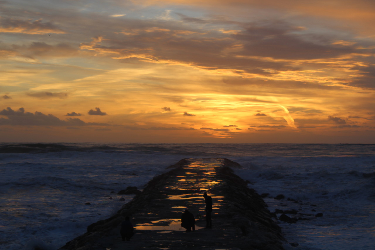 IMG_0321.JPG IMG_0321.JPG