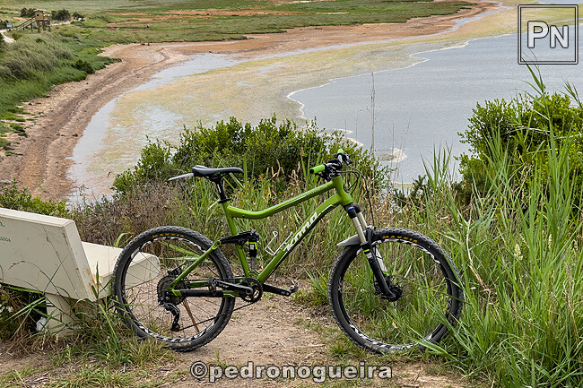 Jul_2024_010 650px.jpg