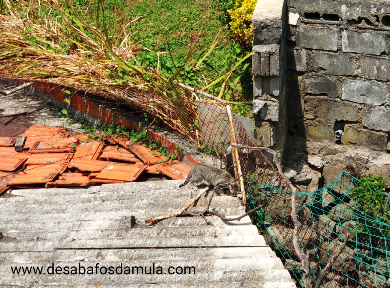 IMG_20190706_192646.jpg IMG_20190706_192646.jpg