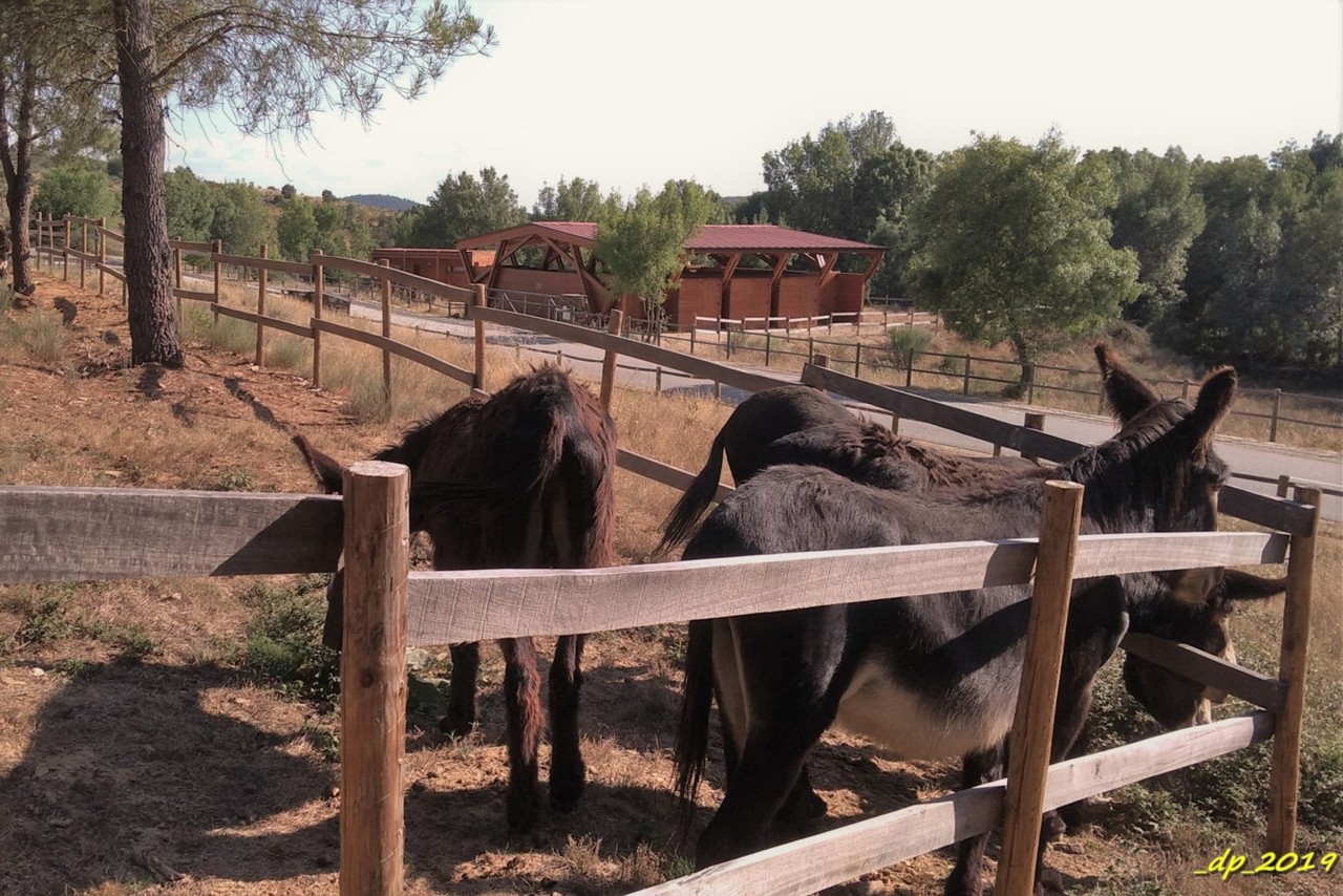 P_20190821_171039 (2).jpg