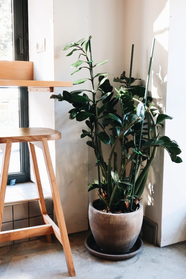 cafe-federal-2.jpg cafe-federal-2.jpg