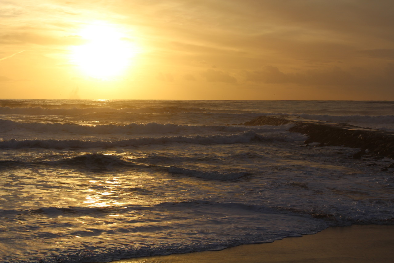 IMG_0172.JPG IMG_0172.JPG