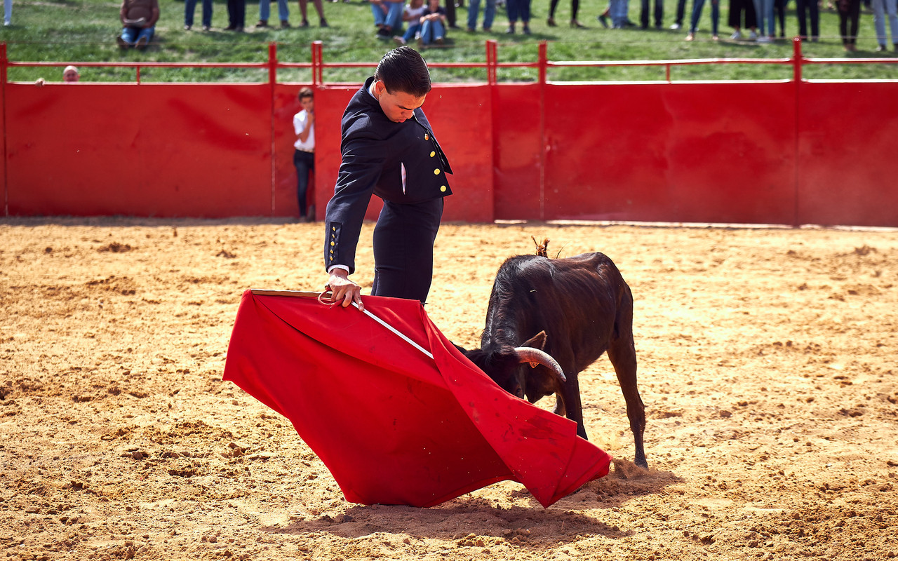 João Marafujo.jpg João Marafujo.jpg