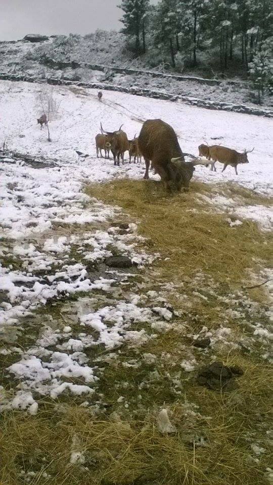 17426008_10210066821681054_8690330297415531072_n.j