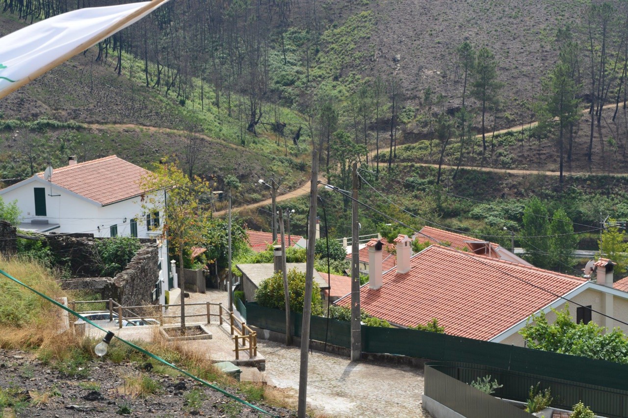 40868891_1203409696491860_3809465657444007936_n.jp