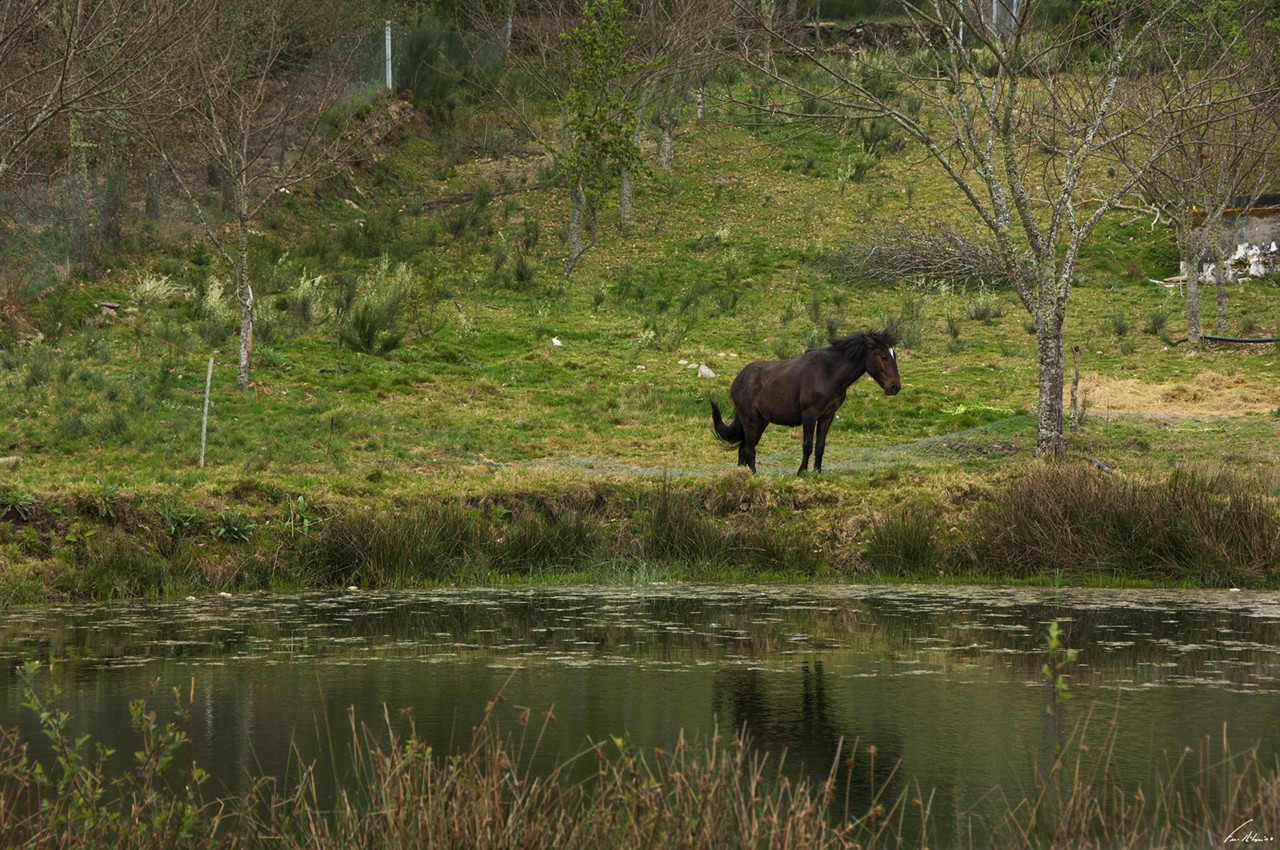 1600-olas (82).jpg 1600-olas (82).jpg