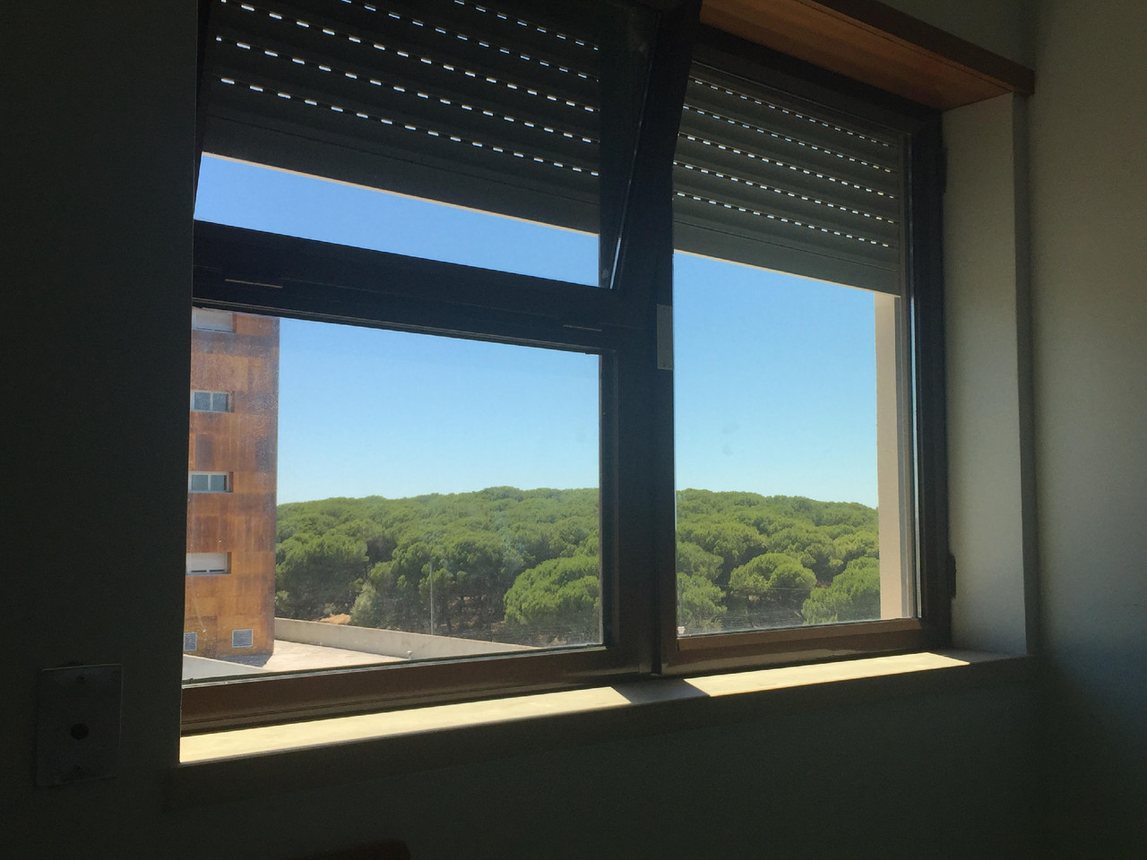 Janela Hospita São Francisco Xavier LiAM.jpg Janela Hospita São Francisco Xavier LiAM.jpg