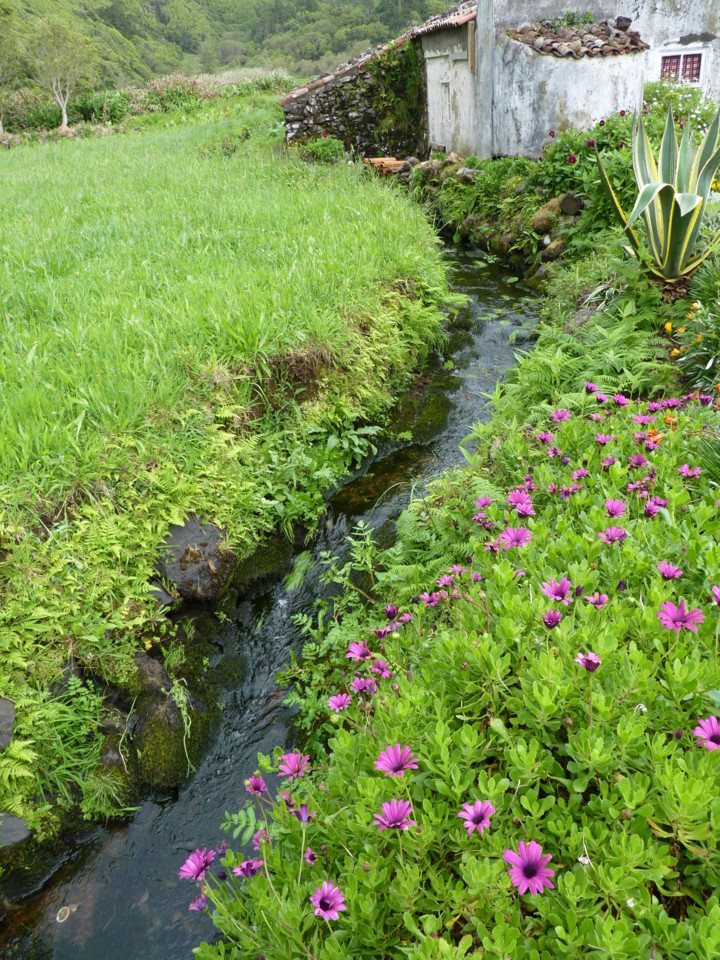 Flores - Moinho da Ribeira da Alagoa (8).JPG