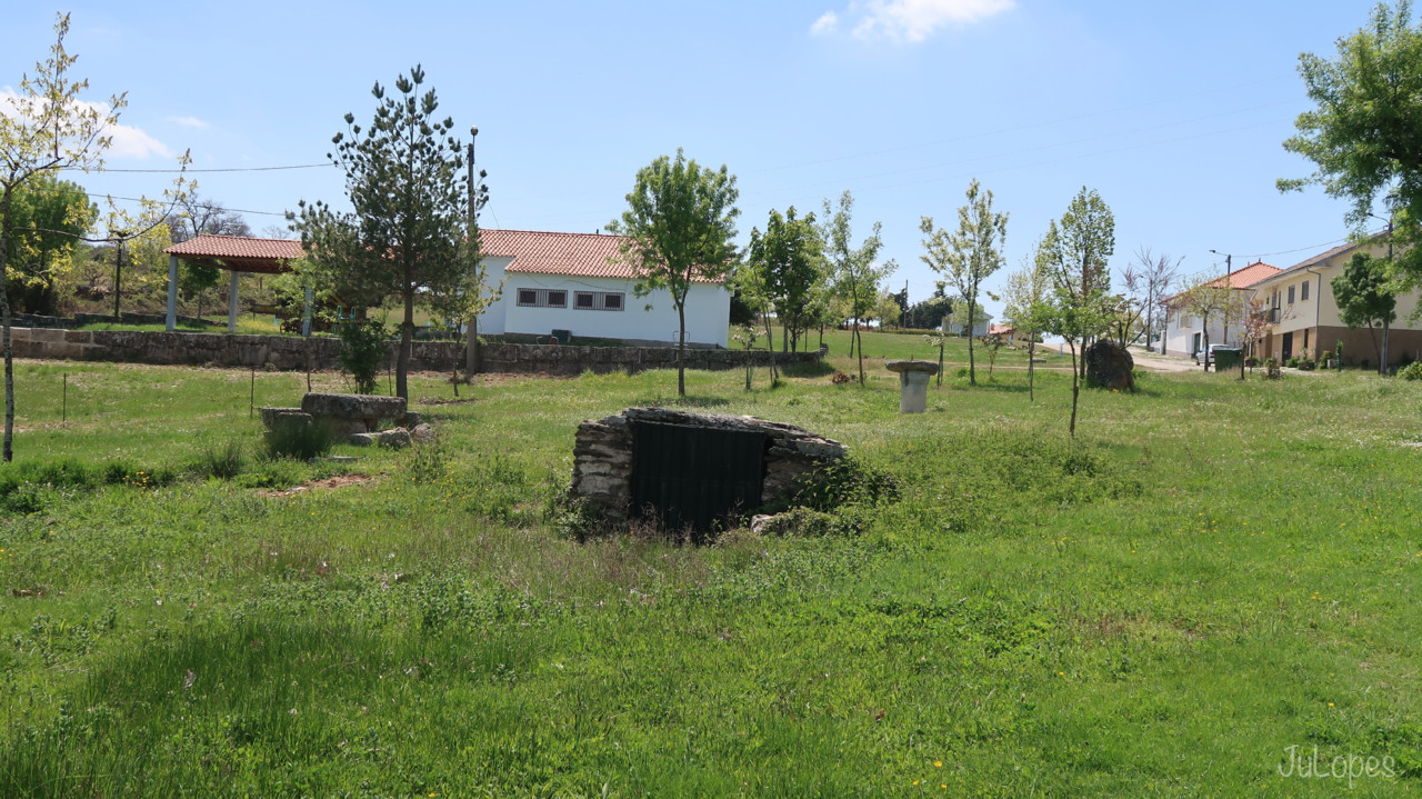 IMG_1564.jpg IMG_1564.jpg