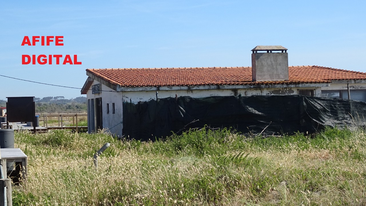 DSC05903.JPG DSC05903.JPG