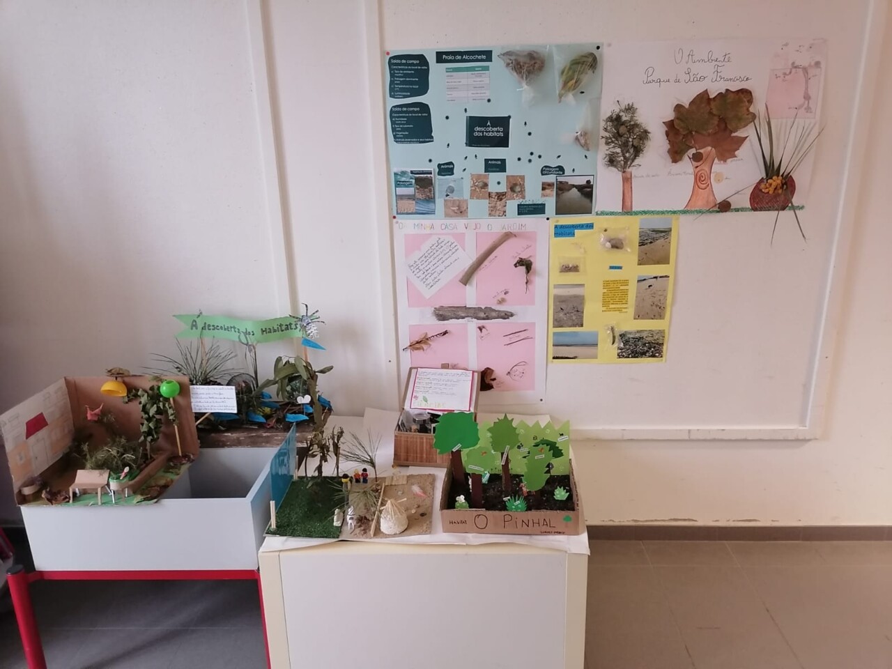 WhatsApp Image 2022-11-10 at 12.24.42.jpeg