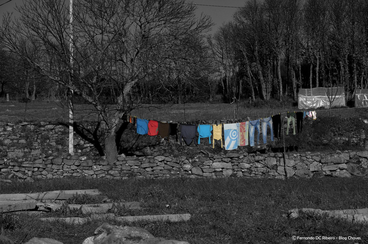 1600--carregal (103)-video.jpg