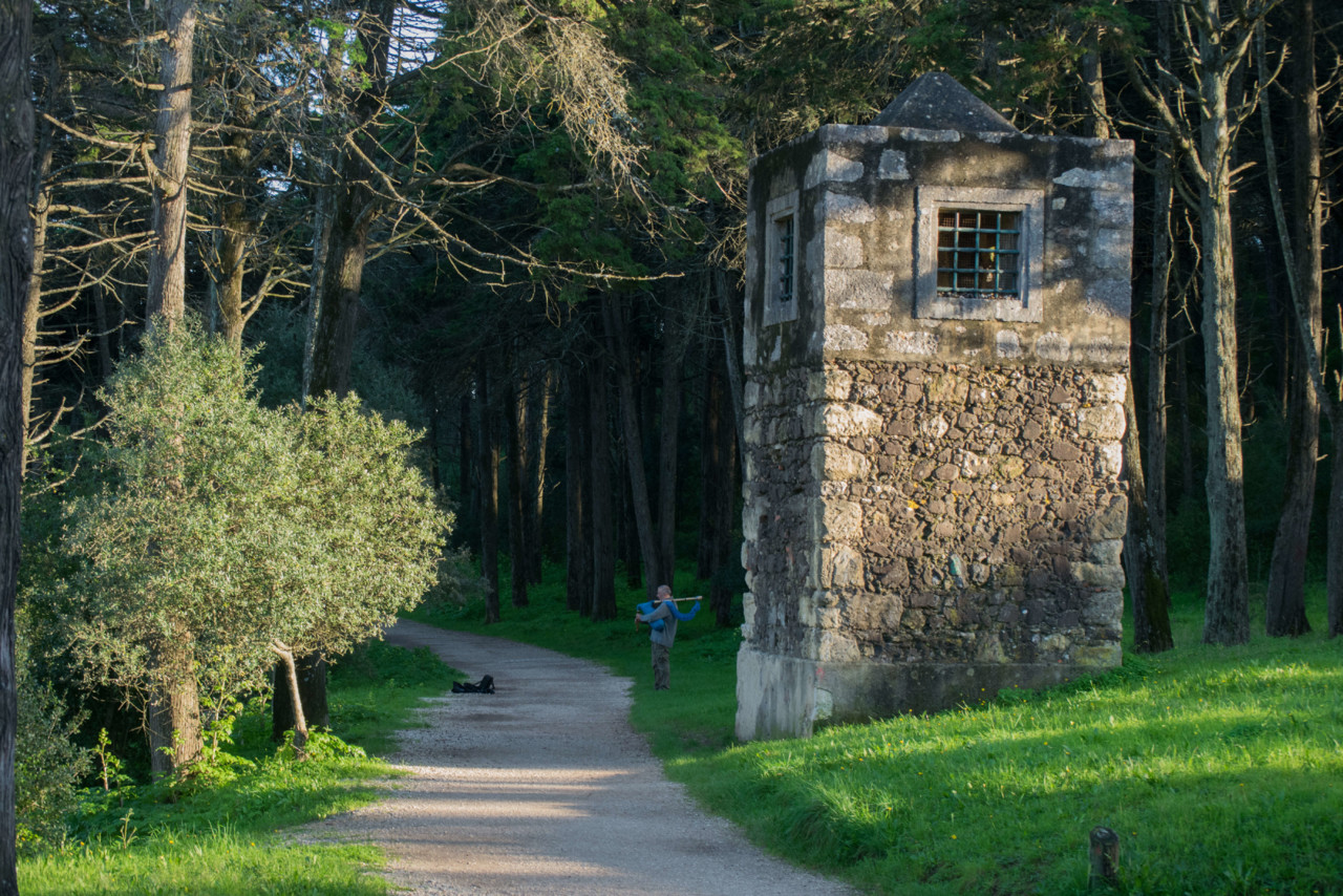 Alguém a tocar uma flauta transmontana, em Monsanto