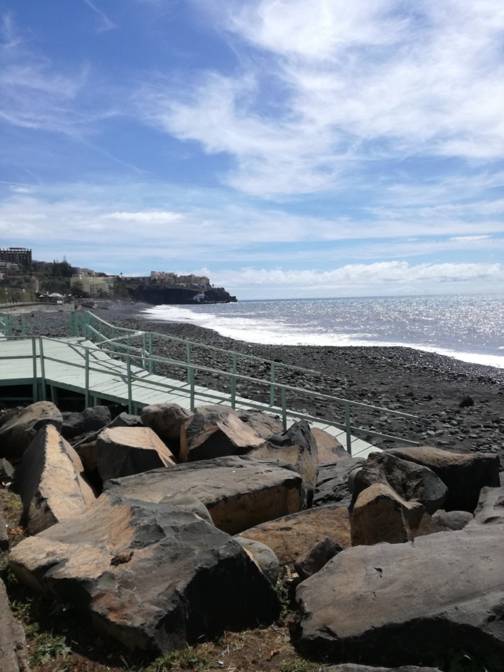 IMG_20190303_125108.jpg IMG_20190303_125108.jpg