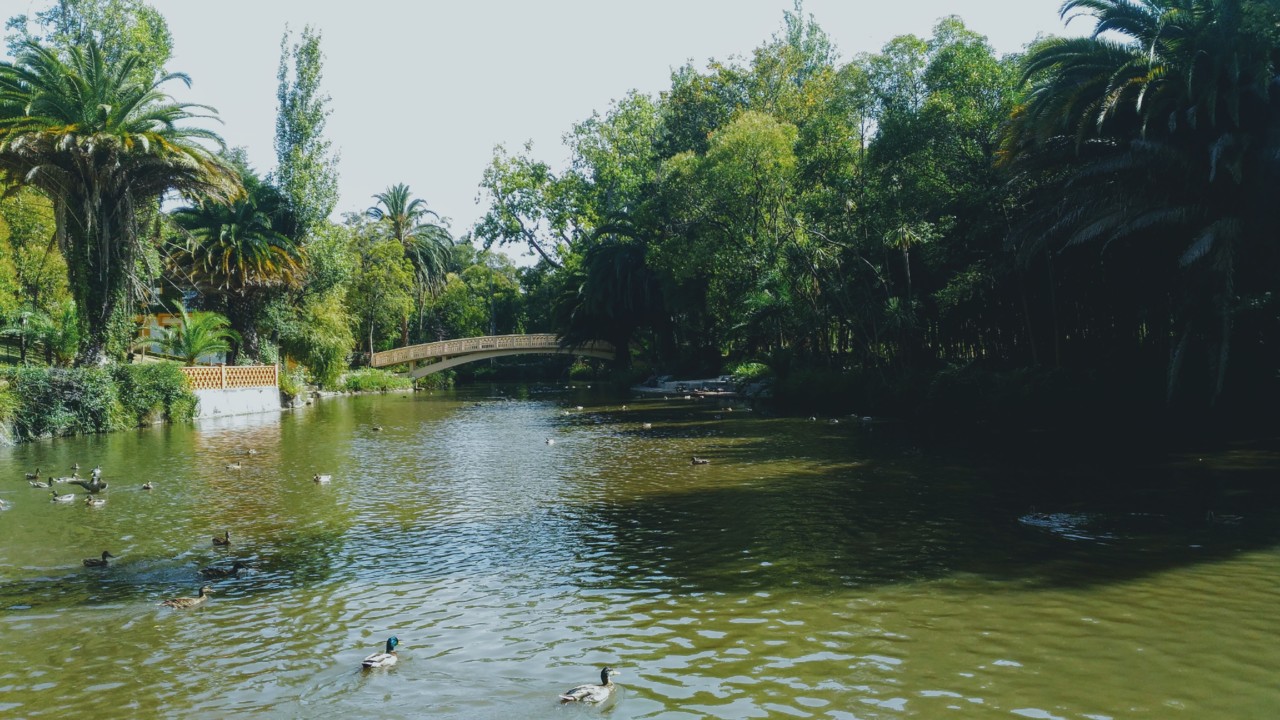 Parque da Cidade Aveiro.jpg Parque da Cidade Aveiro.jpg