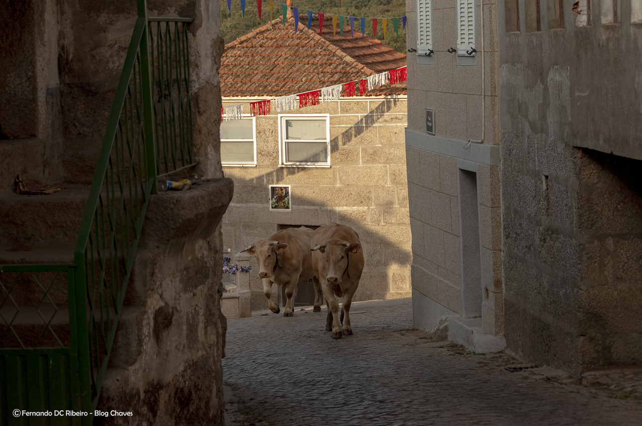 1600-codessoso (73)-video.jpg