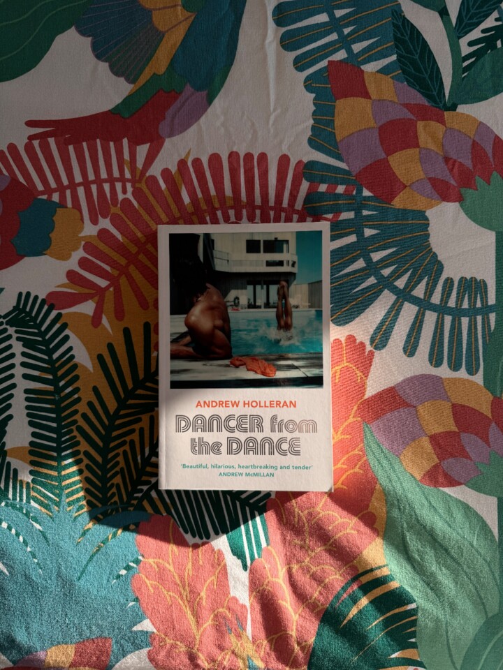 Dancer from the Dance, Andrew Holleran - Rita da Nova