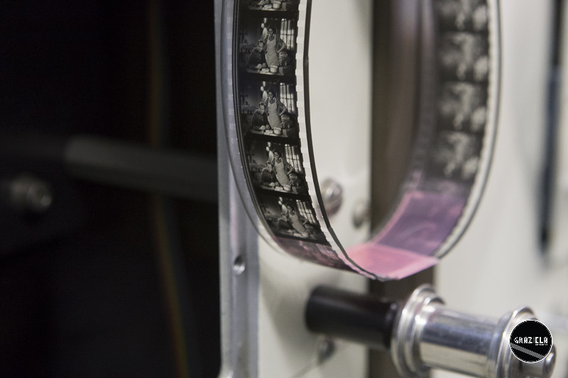 ANIM-6461.jpg ANIM-6461.jpg