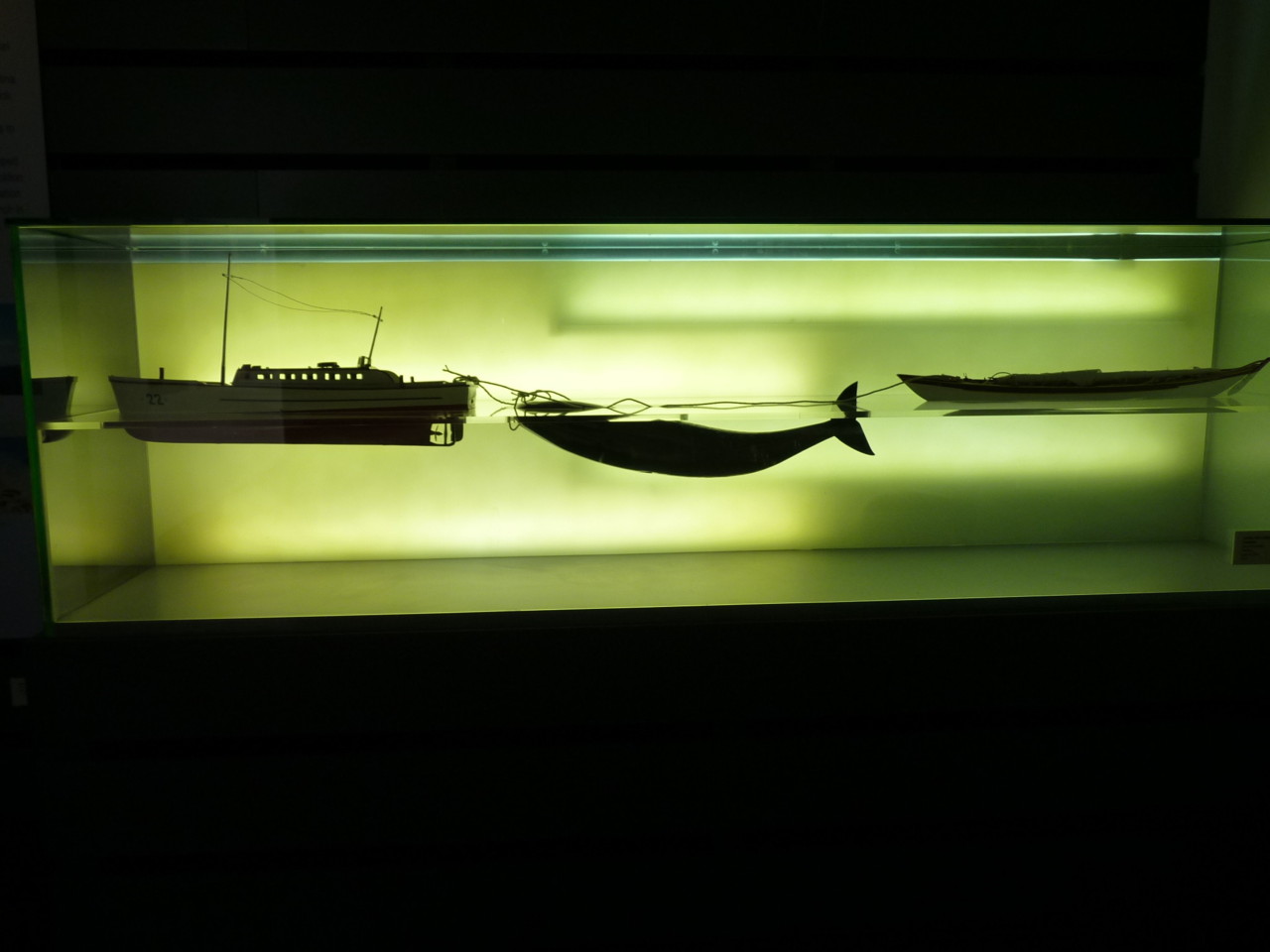 Museu da Fábrica da Baleia do Boqueirão 9.JPG