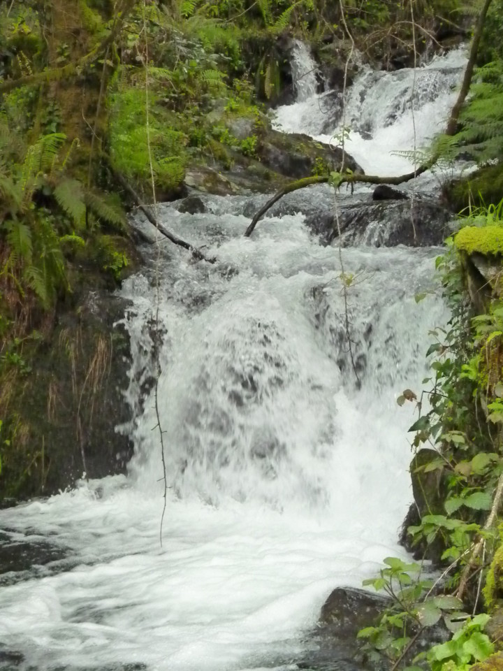 Lousã (18).JPG Lousã (18).JPG