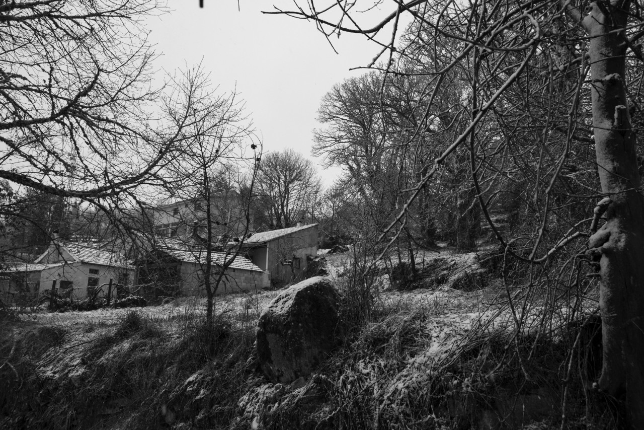 DSCF3408 - cópia copy.jpg