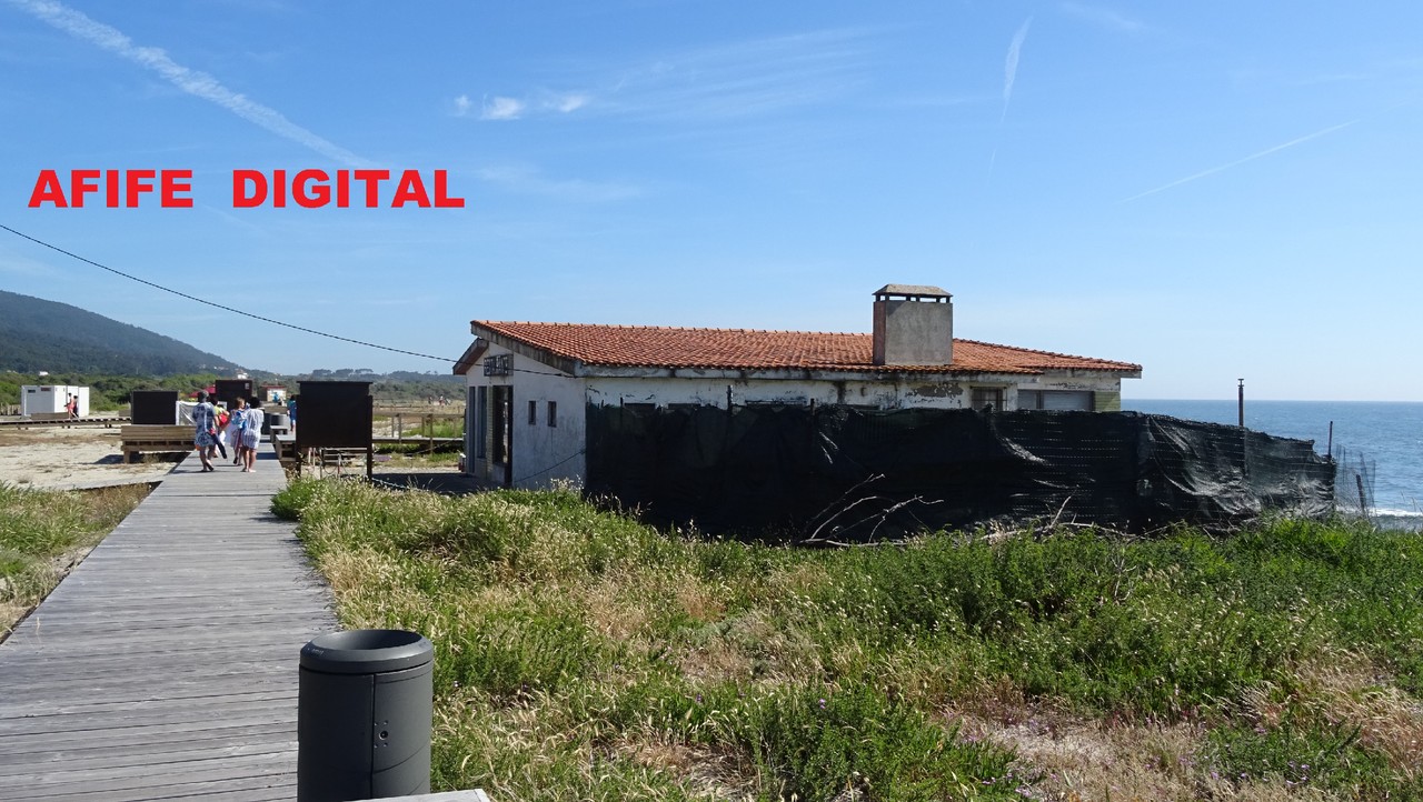 DSC05906.JPG DSC05906.JPG