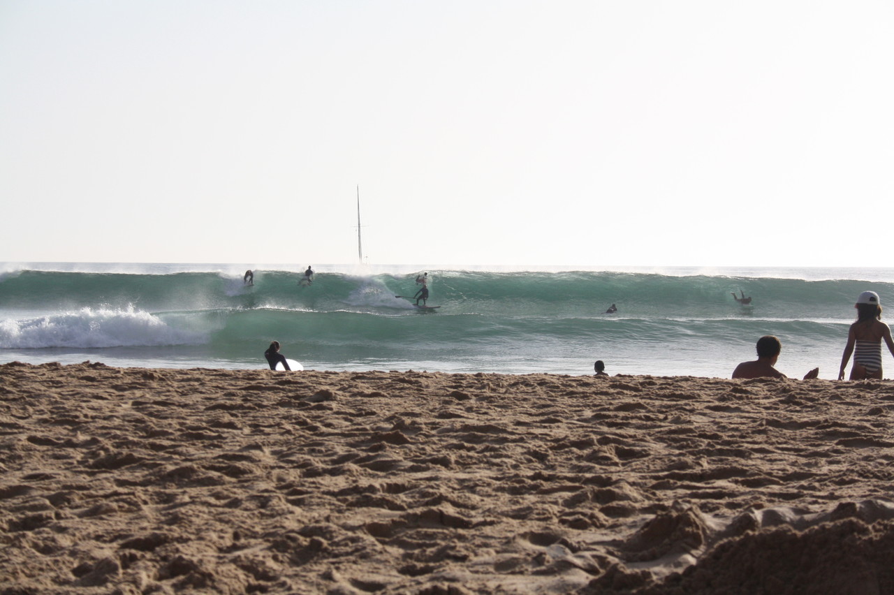 IMG_7299.JPG IMG_7299.JPG