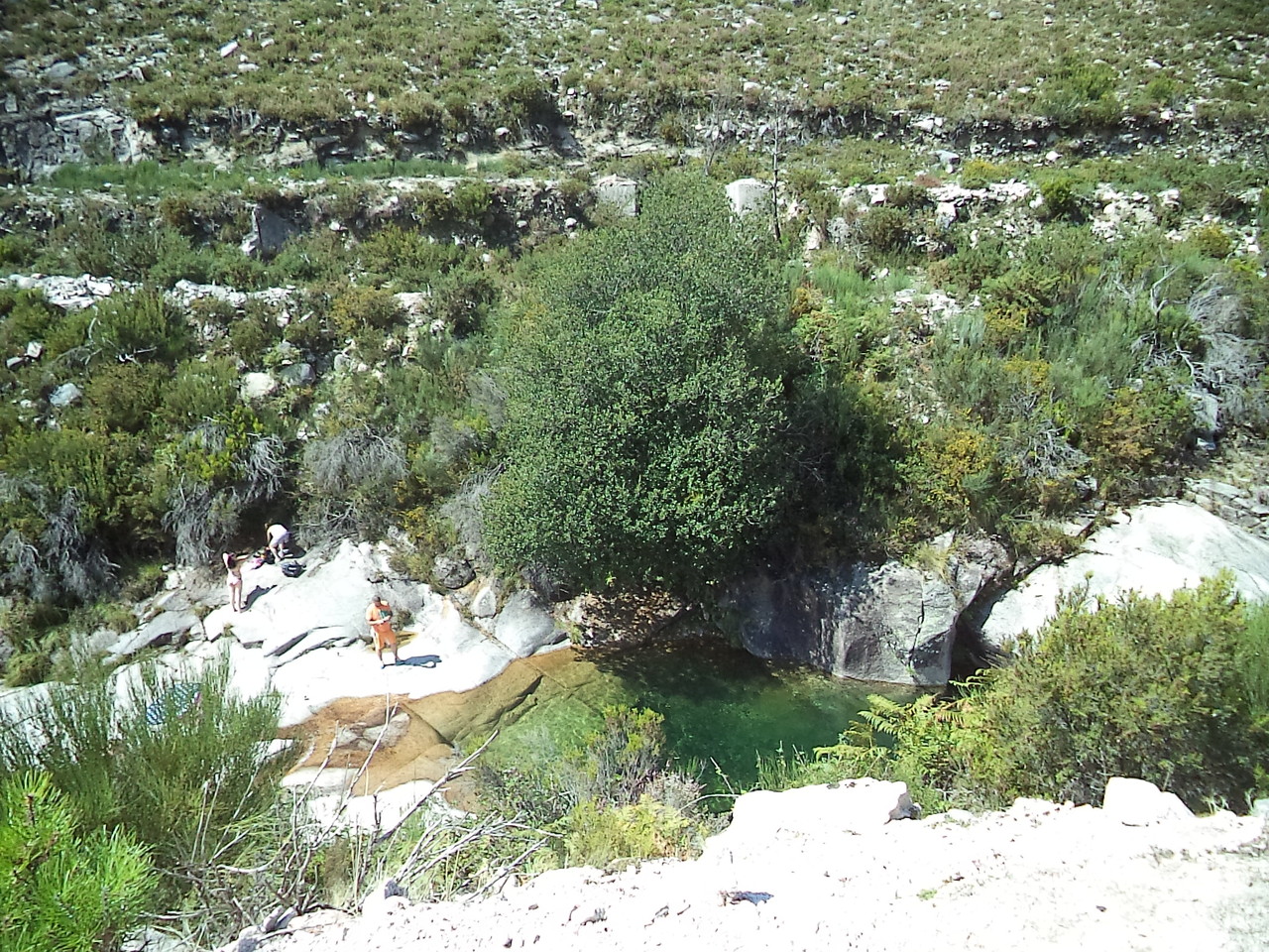 DSC08693.JPG DSC08693.JPG