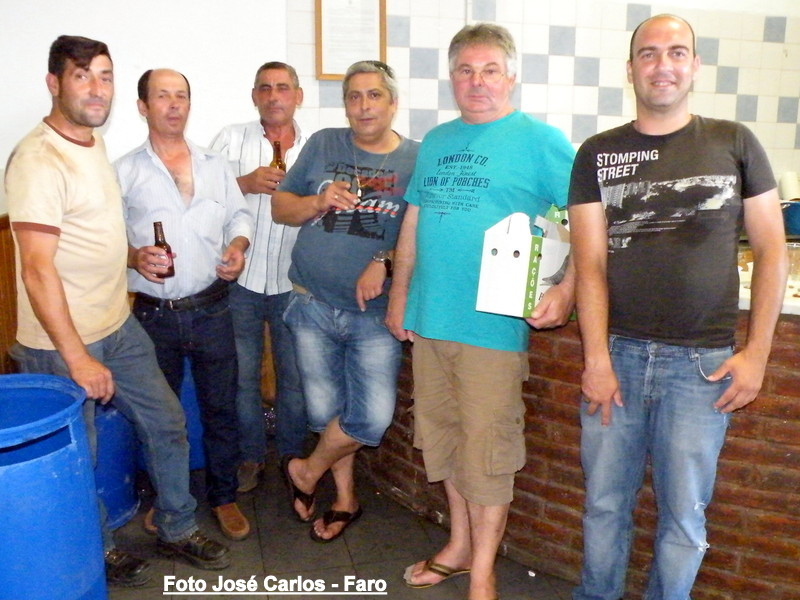 Leilão Ervidel 011.JPG