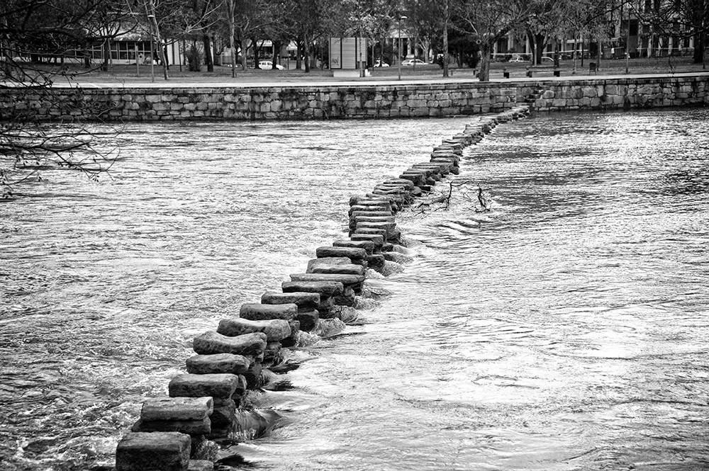 _JMD0189 - Cópia.jpg