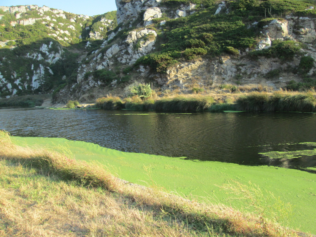 IMG_6700.JPG IMG_6700.JPG