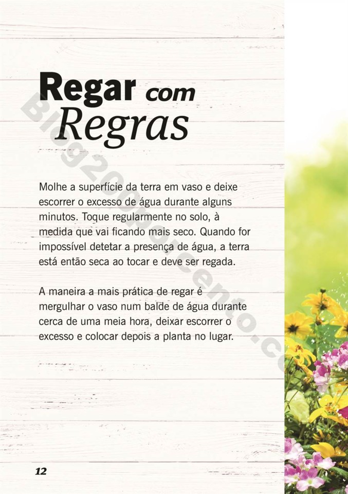 plantas_lidl_mercado_011.jpg