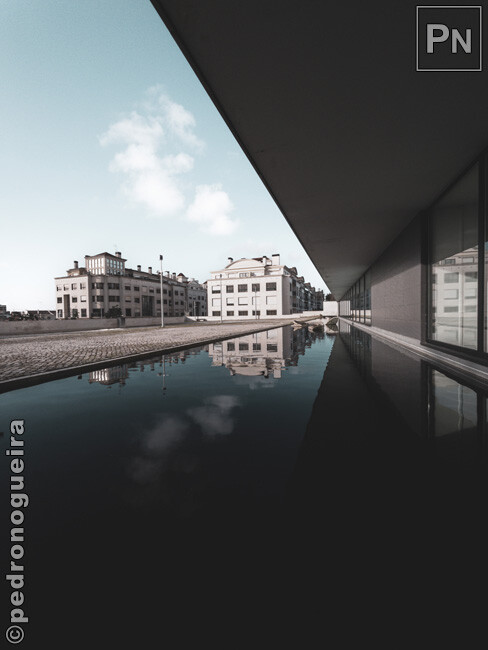 Jan_2023_015 650px.jpg