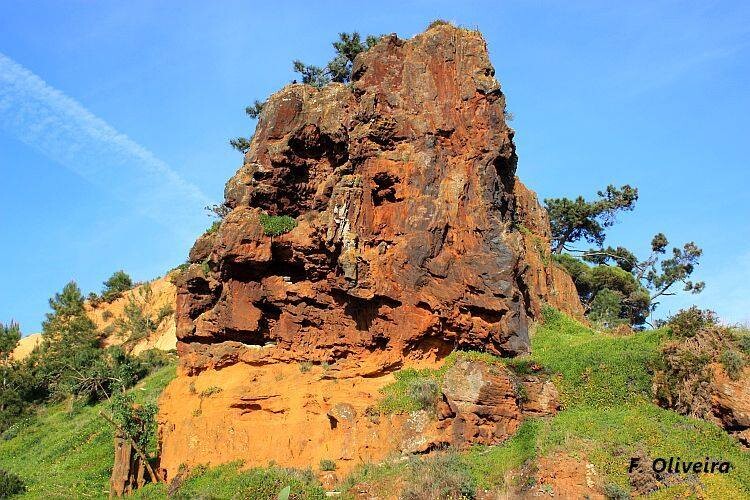 Galopim de Carvalho/Direitos reservados 