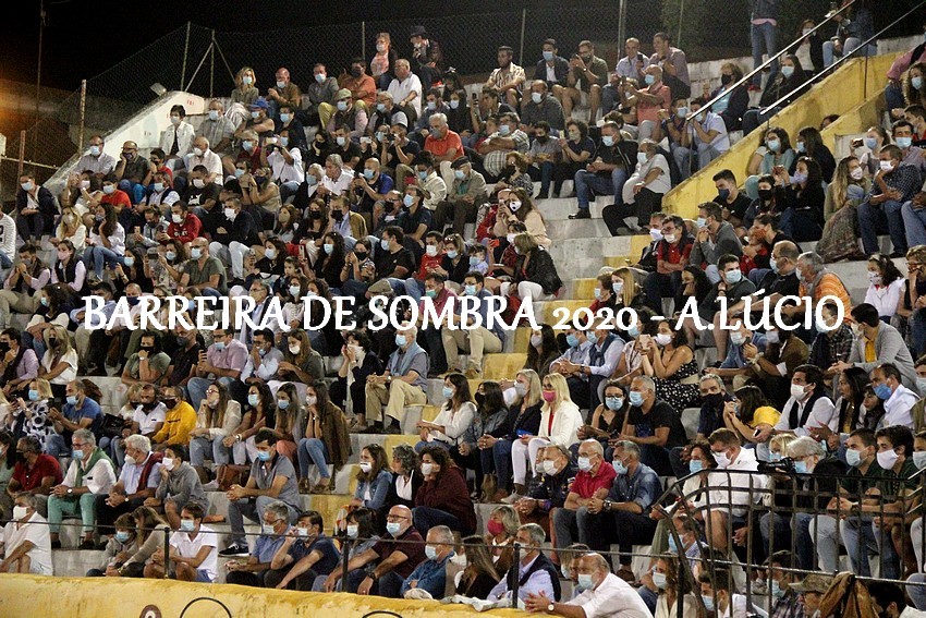 IMG_3461.JPG IMG_3461.JPG