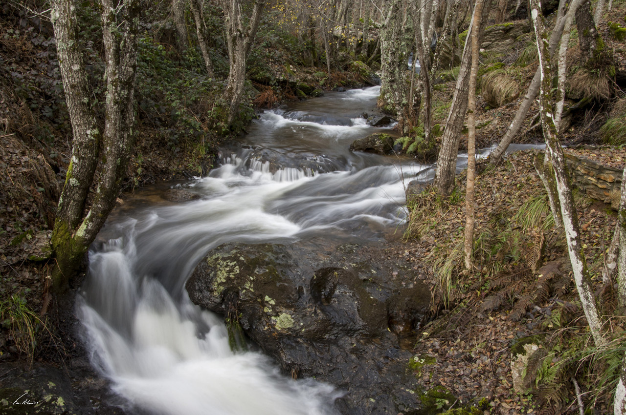 1600-cascata (6).jpg