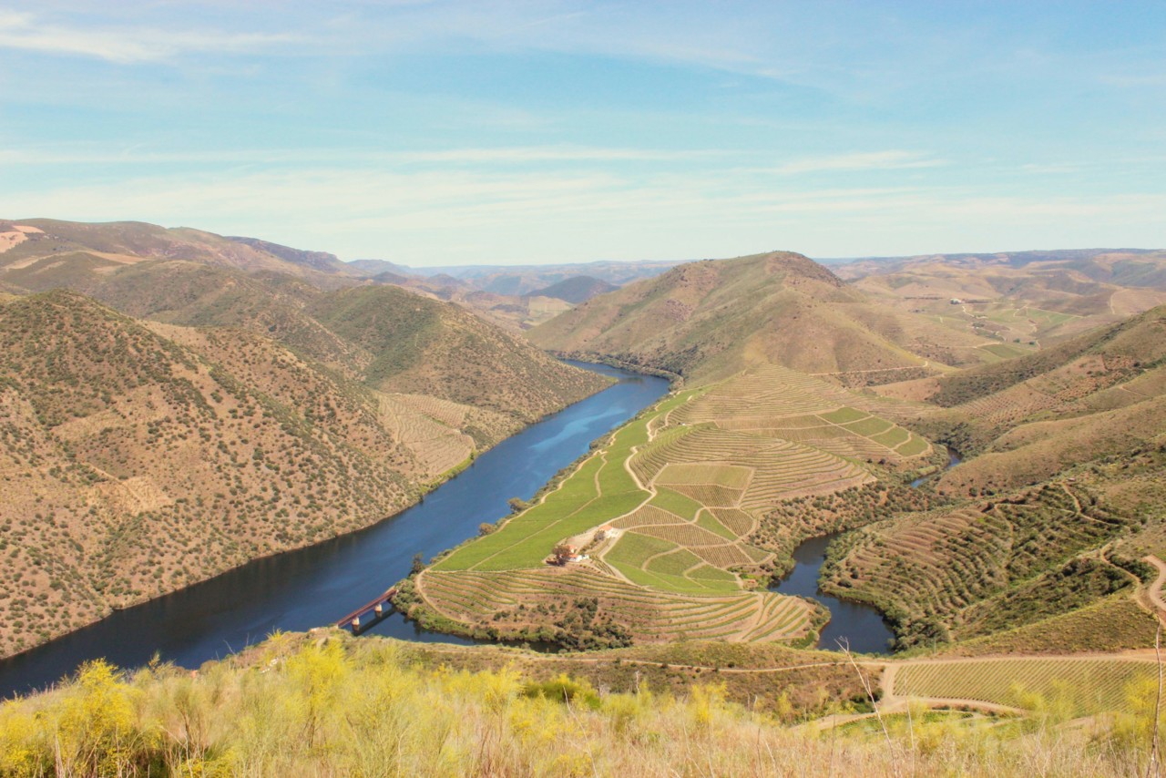 Antonia Adelaide Ferreira Tinto 2016