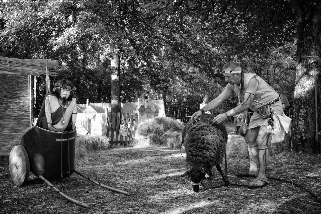 DSCF4527 - cópia copy.jpg