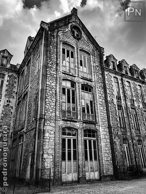 Jul_2019_025b 650px.jpg