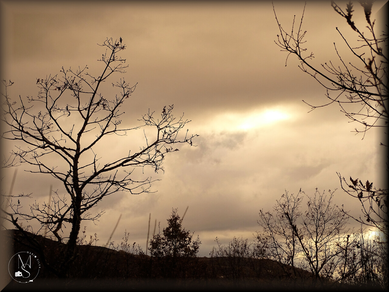 19Dez DSC05295_ms.JPG