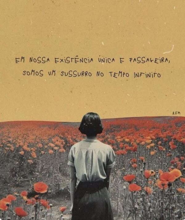 flores imagens.jpg