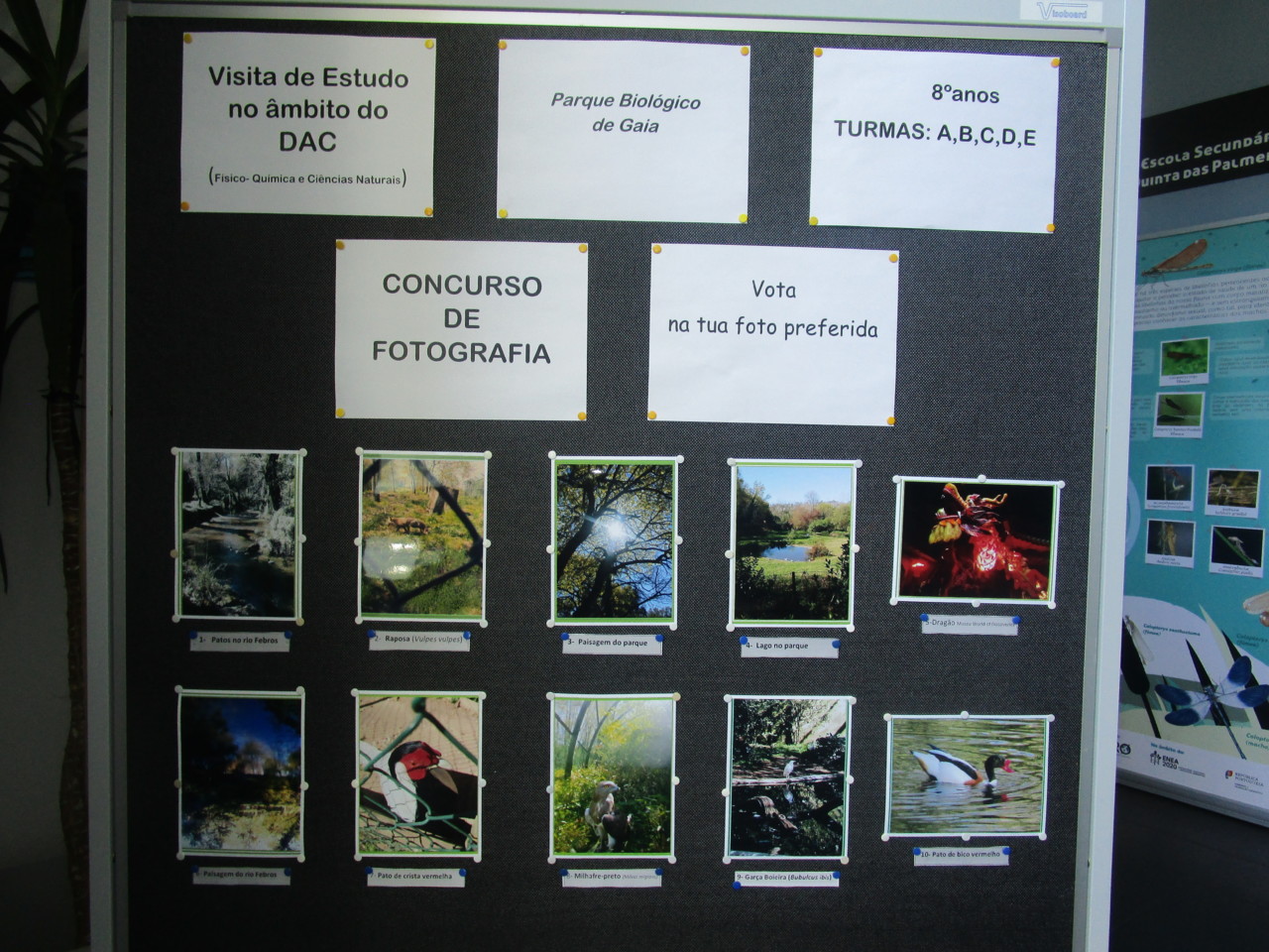 IMG_5933.JPG IMG_5933.JPG