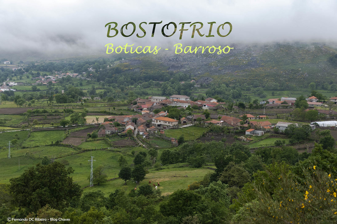 1600-bostofrio (447).jpg 1600-bostofrio (447).jpg