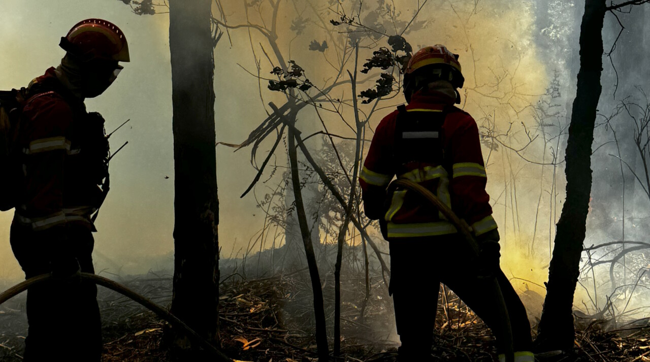 BOOMFIT/Divulgação